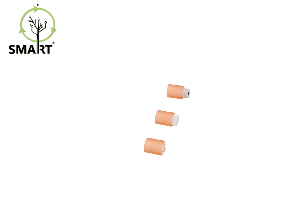 Ricoh Paper Pickup Roller Kit (AFICIO 3035/3045)-SMART Brand